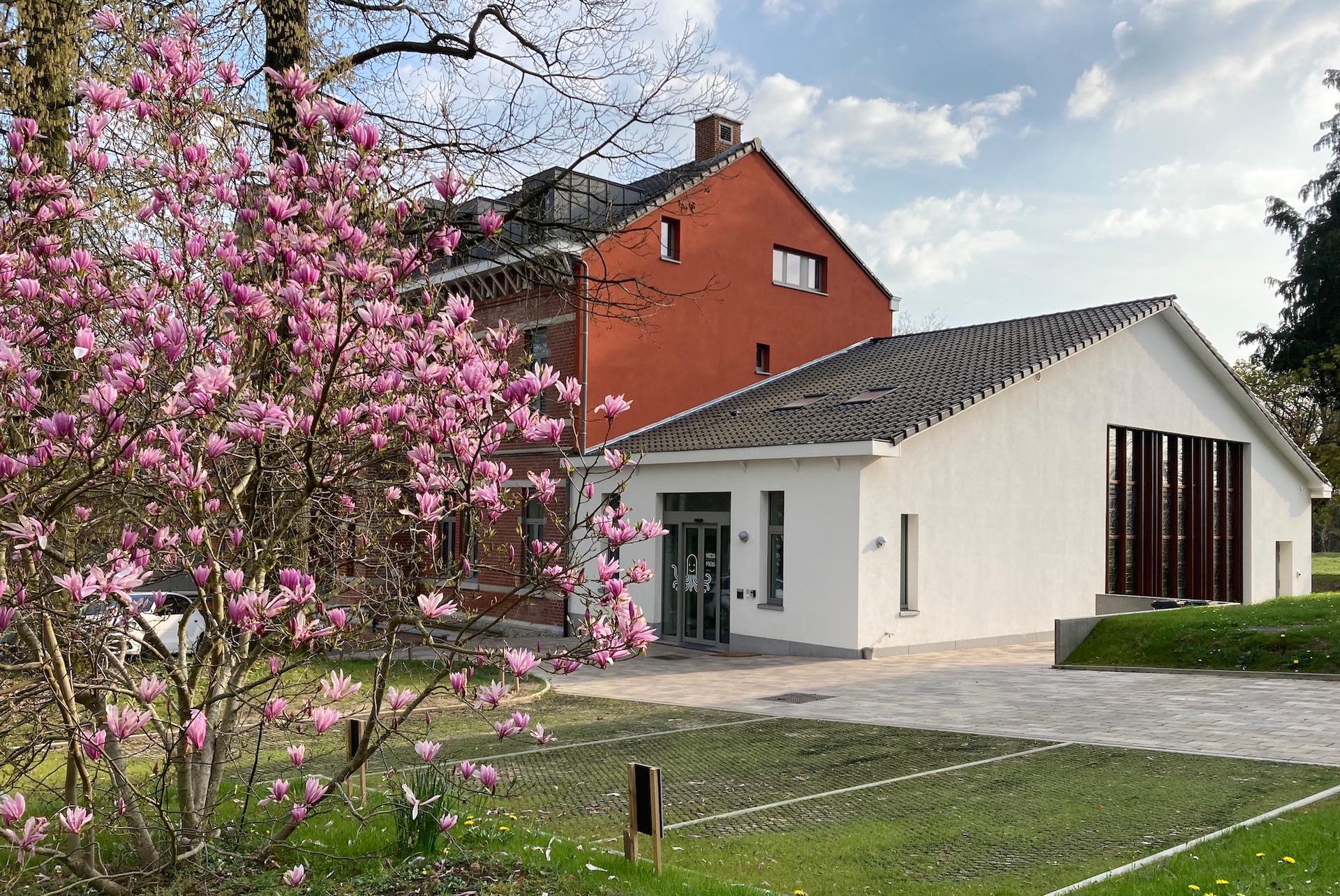 Piscine "HOCUS POCUS, la magie de l'eau"