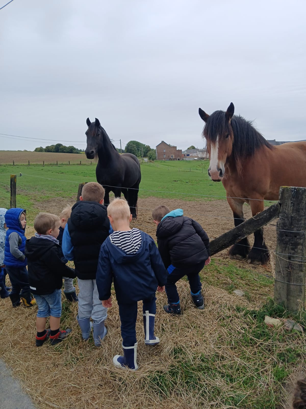 Whats App Image 2025 11 13 at 11.14.23 (2)