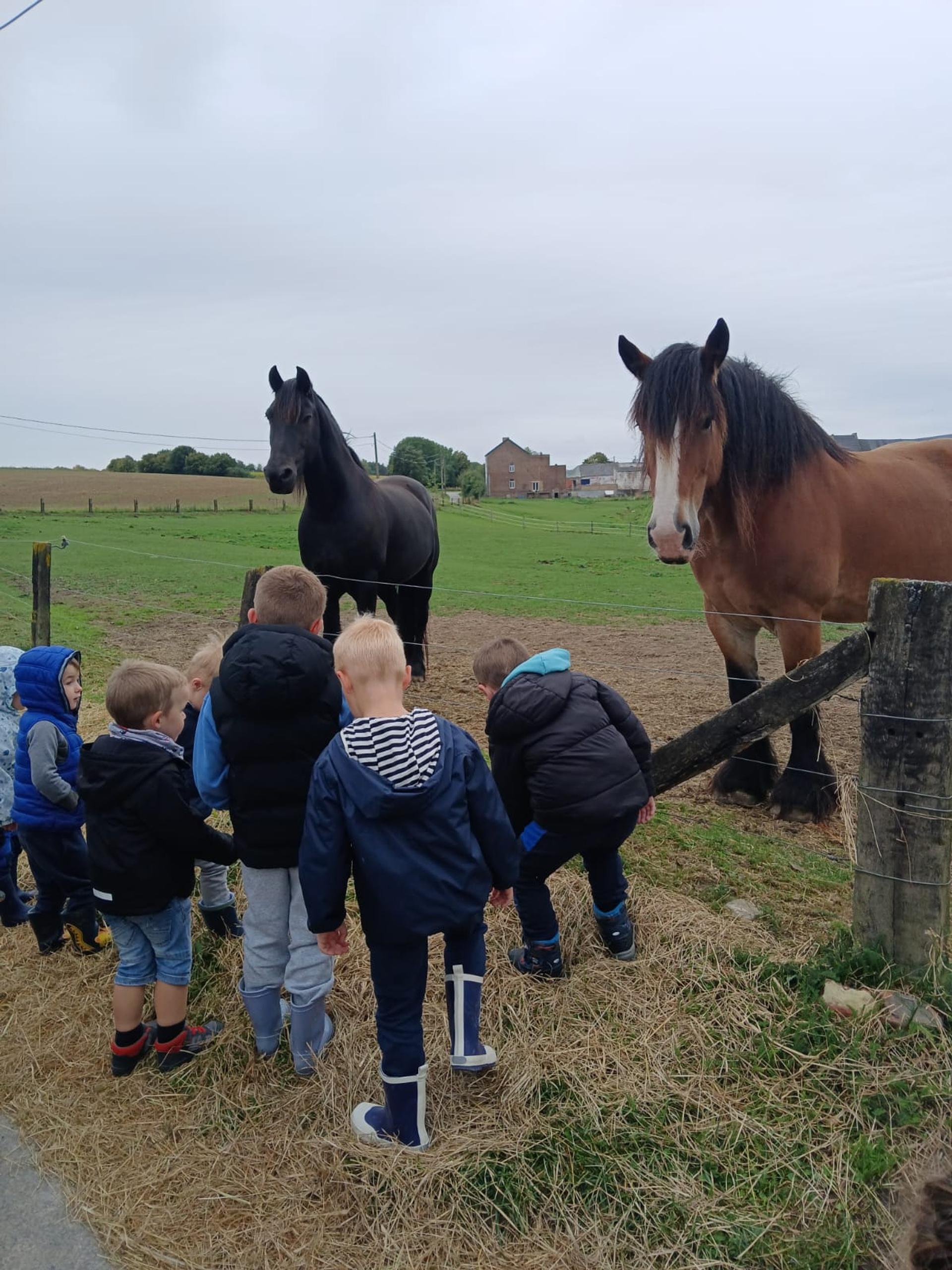 Whats App Image 2025 11 13 at 11.14.23 (2)