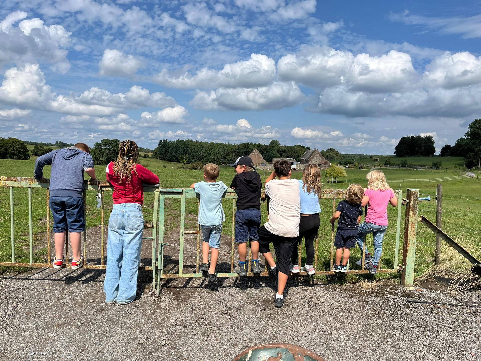 Whats App Image 2025 11 13 at 11.15.40