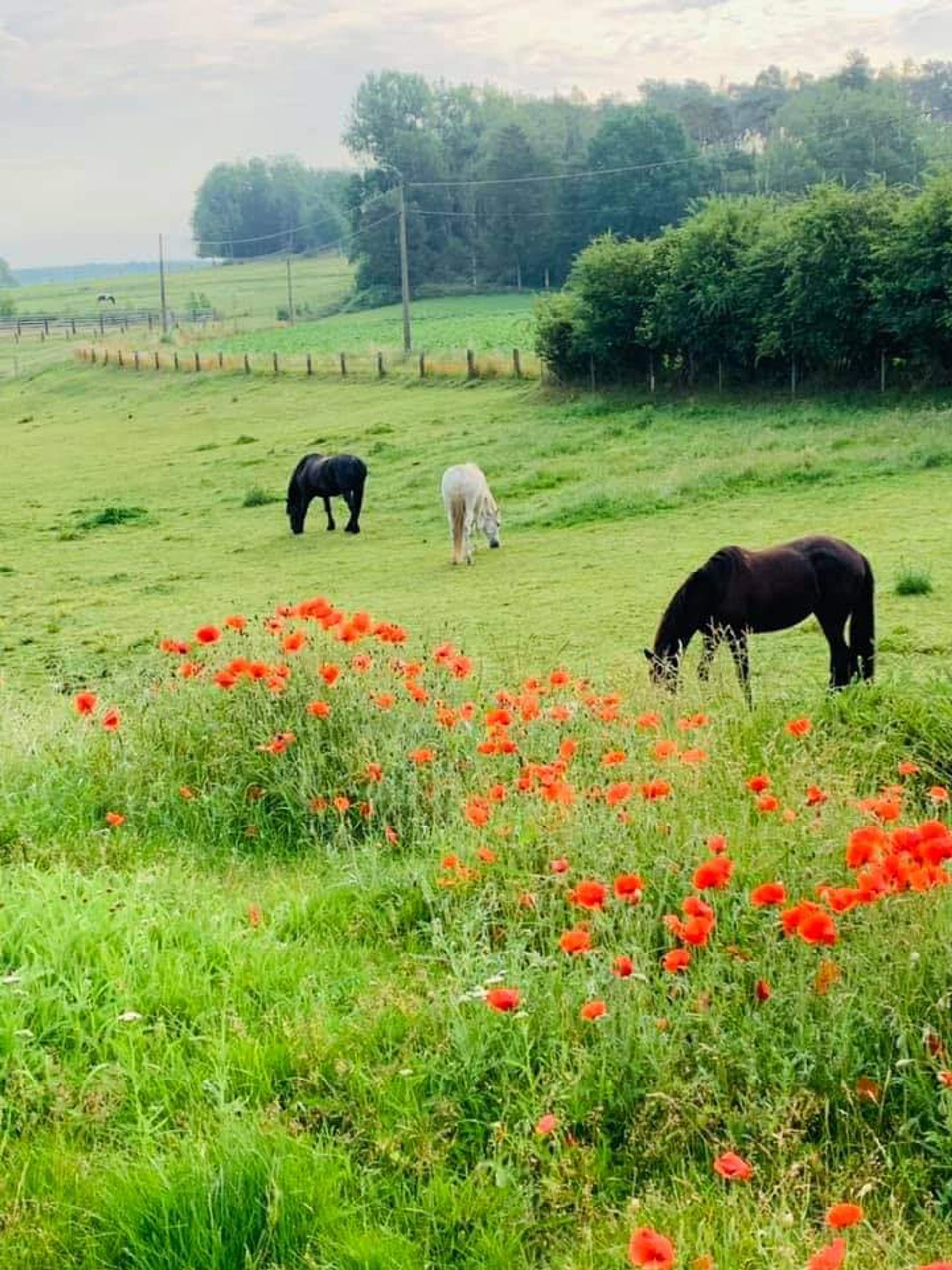 Le Répit des Censes
