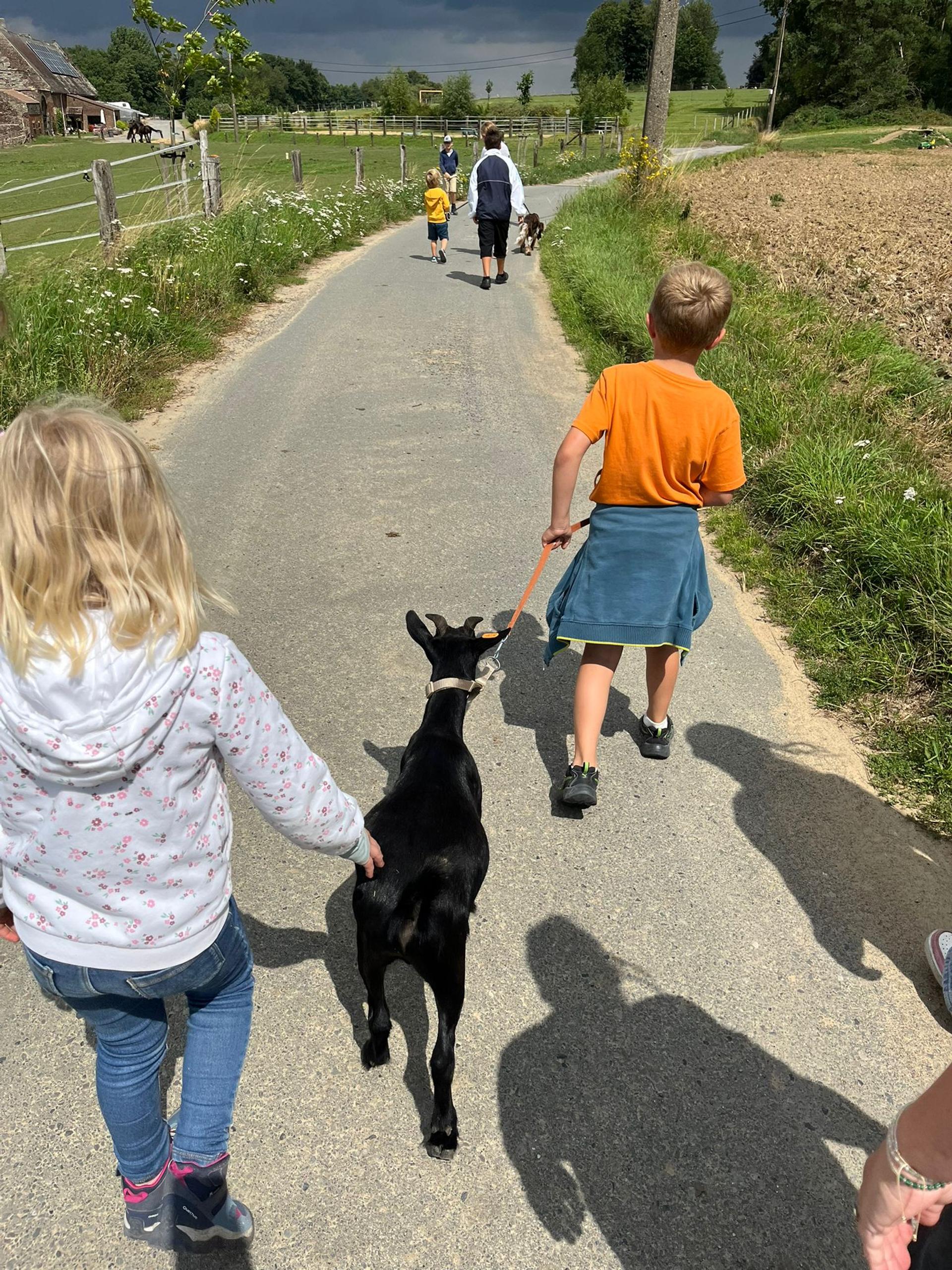 Whats App Image 2025 11 13 at 11.15.41