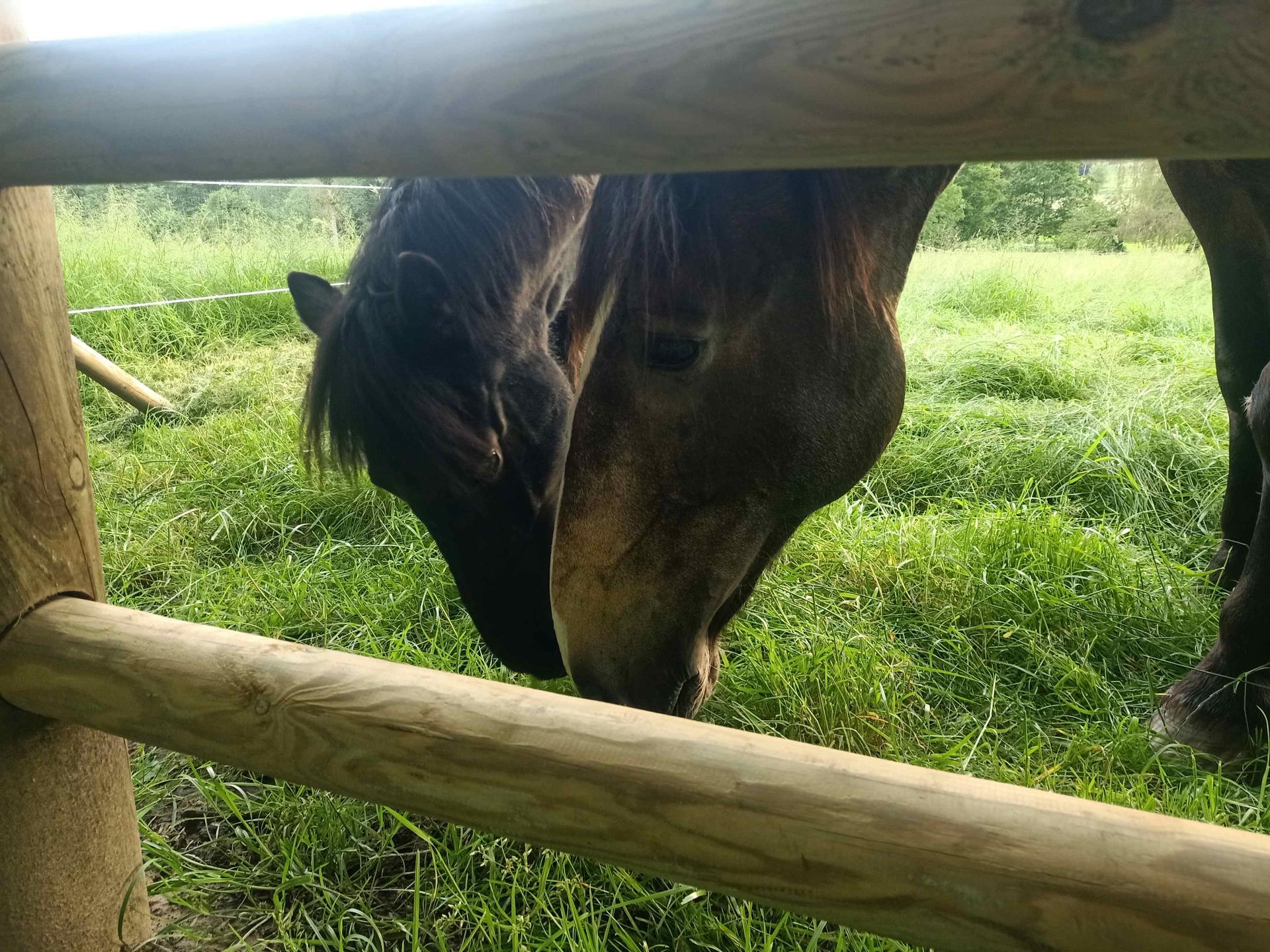 Ateliers   Comm Gén    1 Mo