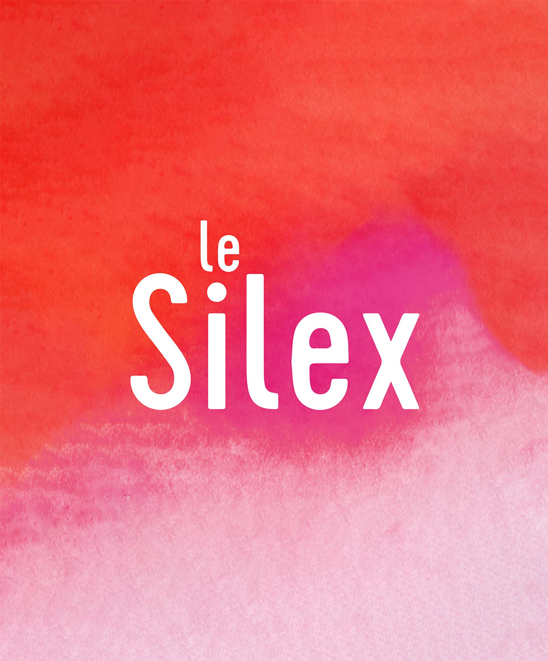 Logo Silexfinal Bricole Small